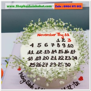 Bánh Sinh Nhật Cuốn Lịch - CL101